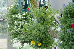 Wanddecoratie